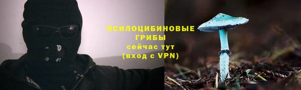 стафф Киренск